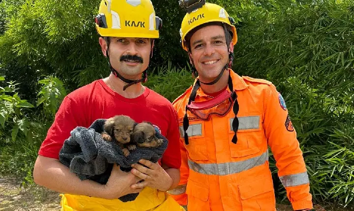 Após moradora ouvir choro, filhotes são resgatados no Córrego Barreiro em Campos Altos