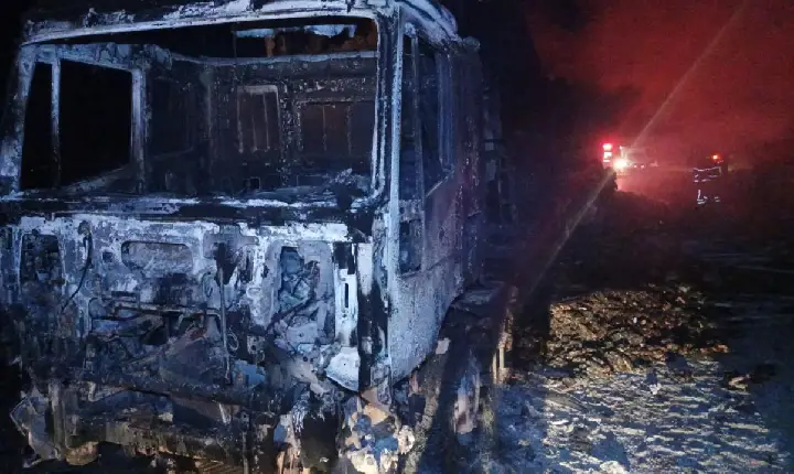 Caminhão carregado com frango congelado pega fogo na BR-262, em Ibiá