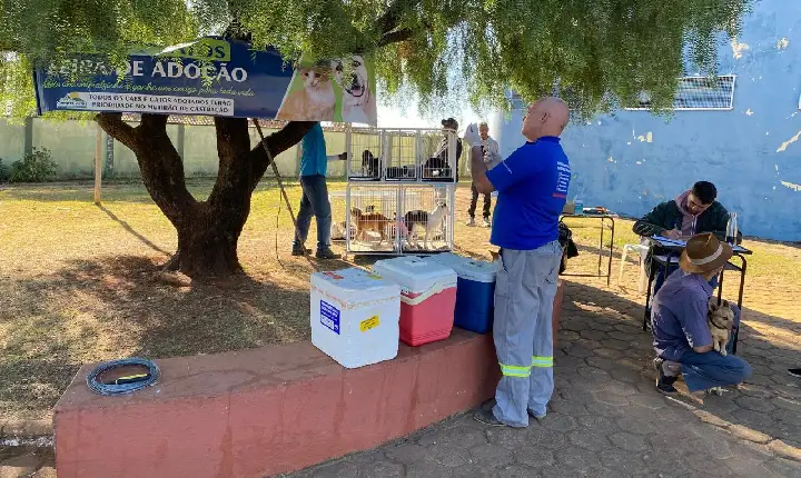 Canil Municipal realiza 2ª Feira de Adoção de Cães e Gatos