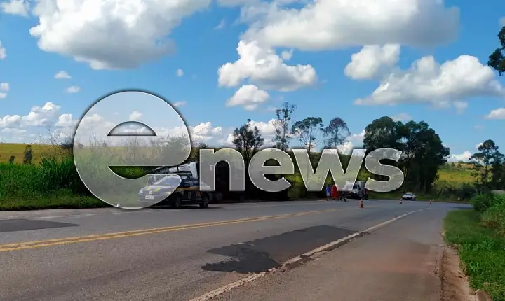Carreta que levava gado tomba e deixa animais mortos na BR-262, em Campos Altos
