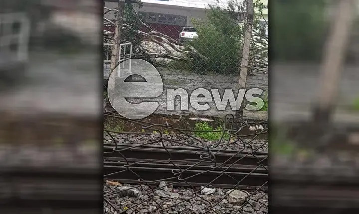 Chuva provoca estragos no Centro de Campos Altos; duas árvores caíram
