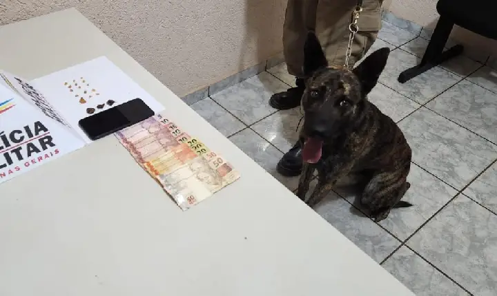 Com apoio da ROCCA, PM efetua prisões por tráfico de drogas e uso de entorpecentes em Campos Altos