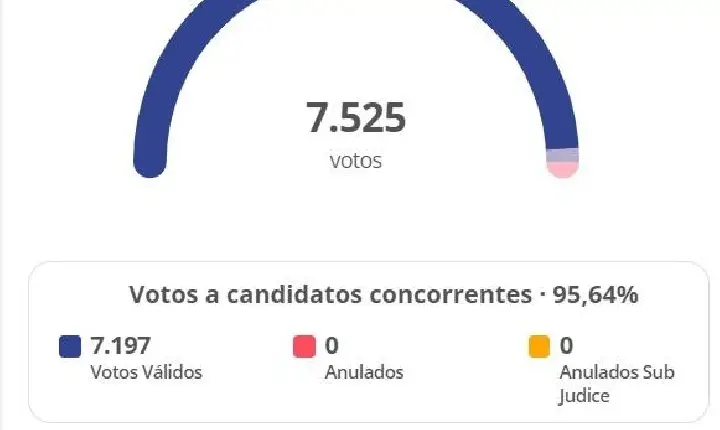 Confira os vereadores eleitos em Campos Altos