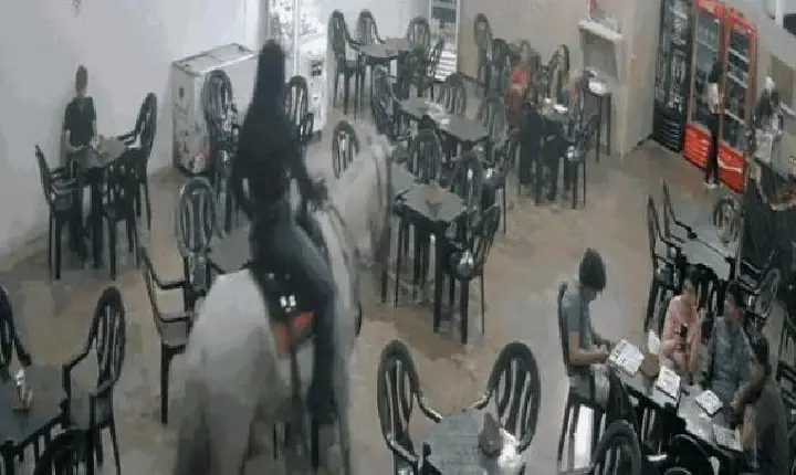Cowgirl que entrou em pizzaria montada a cavalo em MG diz não se lembrar de nada: 'Descobri pelas redes sociais'