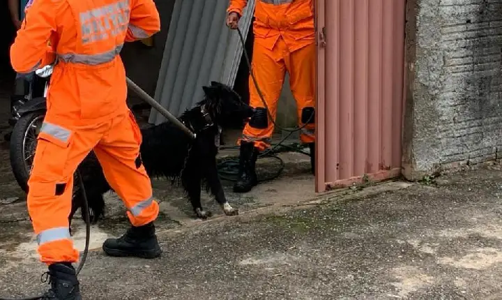 Criança fica ferida após ser atacada pelo cachorro da família, em Campos Altos MG