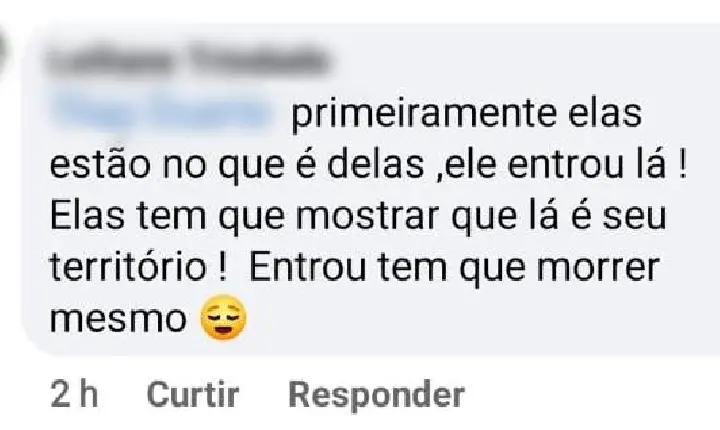 Em Campos Altos, mulher é presa após filmar cães comendo gato, e defender atitude