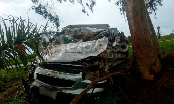 Família fica ferida após carro rodar na pista e bater em árvore na BR-262, em Campos Altos