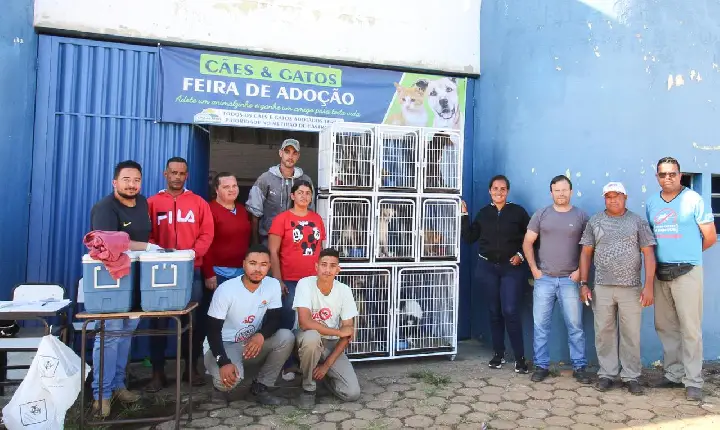 Feira de adoção de cães acontece nesta sexta (4/8) em Campos Altos; saiba detalhes