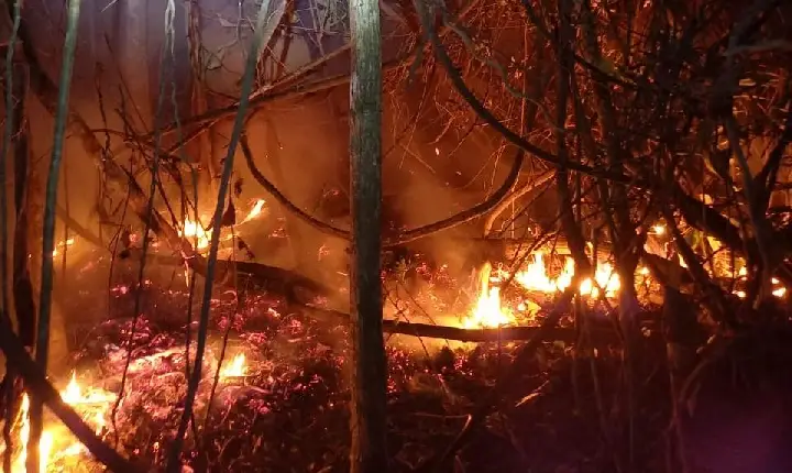 Incêndio de grandes proporções é combatido pelos Bombeiros entre Campos Altos e Pratinha