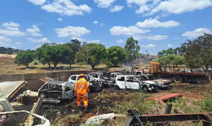 Incêndio em vegetação se espalha, atinge pátio e danifica 10 veículos em Bambuí