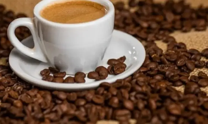 Marcas de café recolhidas: veja impurezas não toleráveis no produto