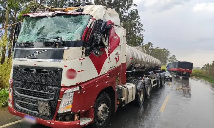 Motorista fica ferido após eucalipto cair sobre carreta, na BR-262 em Campos Altos