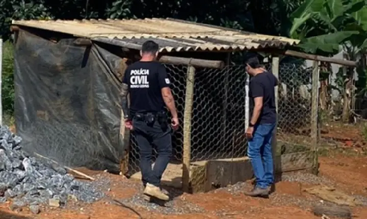 Mulher que divulgou vídeo de gato sendo atacado por cães em Campos Altos é levada para presídio