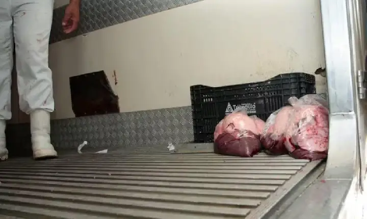 Operação contra frigoríficos apreende quase 500 quilos de carnes impróprias para consumo em Formiga