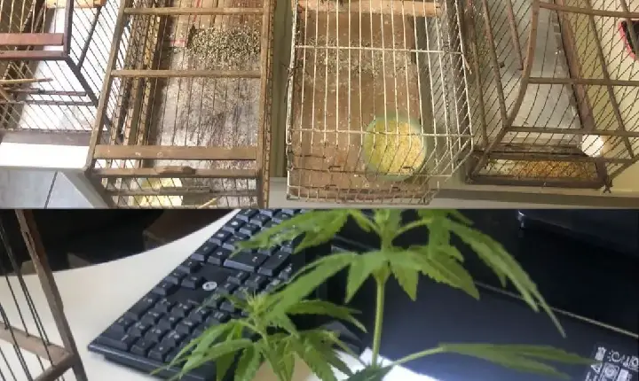 Operação 