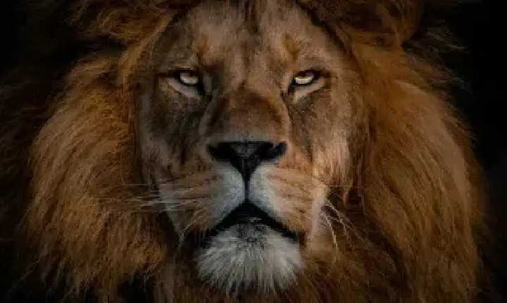 Pix e cartão de crédito: entenda as novas regras de fiscalização da Receita