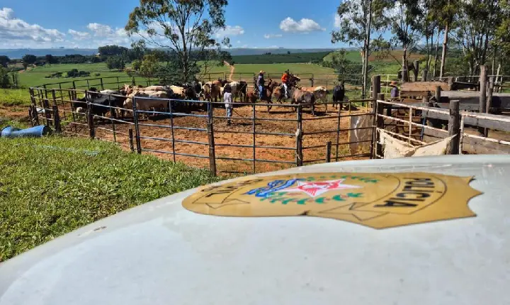 Polícia Civil realiza operação 