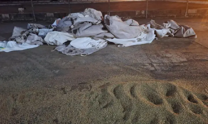 Quadrilha rouba  barracão de café em Campos Altos, estimativa que prejuízo chegue à um milhão de reais