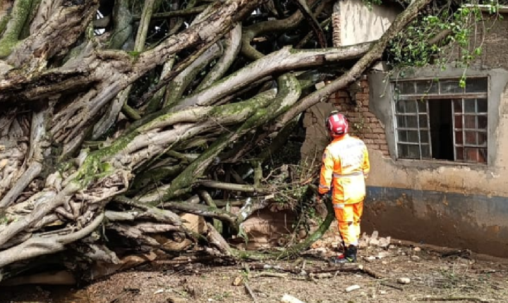 Queda de árvore em residência na zona rural de Araxá deixa vítima fatal