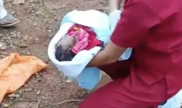 Recém-nascido abandonado e mutilado morre em hospital em BH