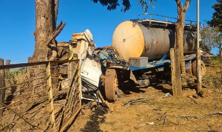 Região: motorista morre após caminhão bater em árvore na zona rural