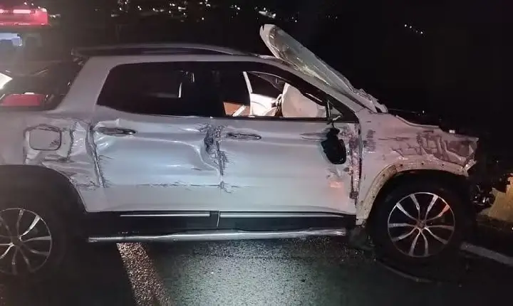 Vaca é atropelada duas vezes seguidas e carro capota após atingi-la na BR-050