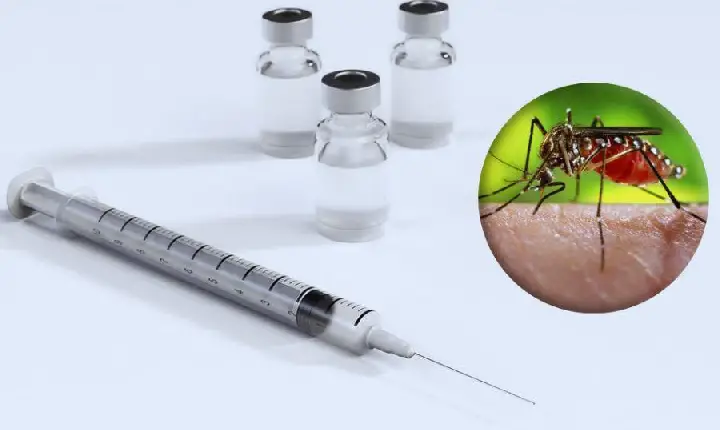 Vacina contra a dengue só está disponível no SUS para quem tem entre 10 e 14 anos