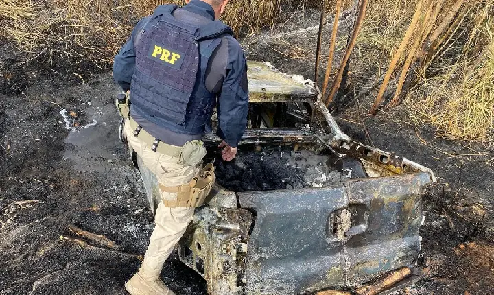Veículo carregado com cerca de 225 kg de maconha é encontrado