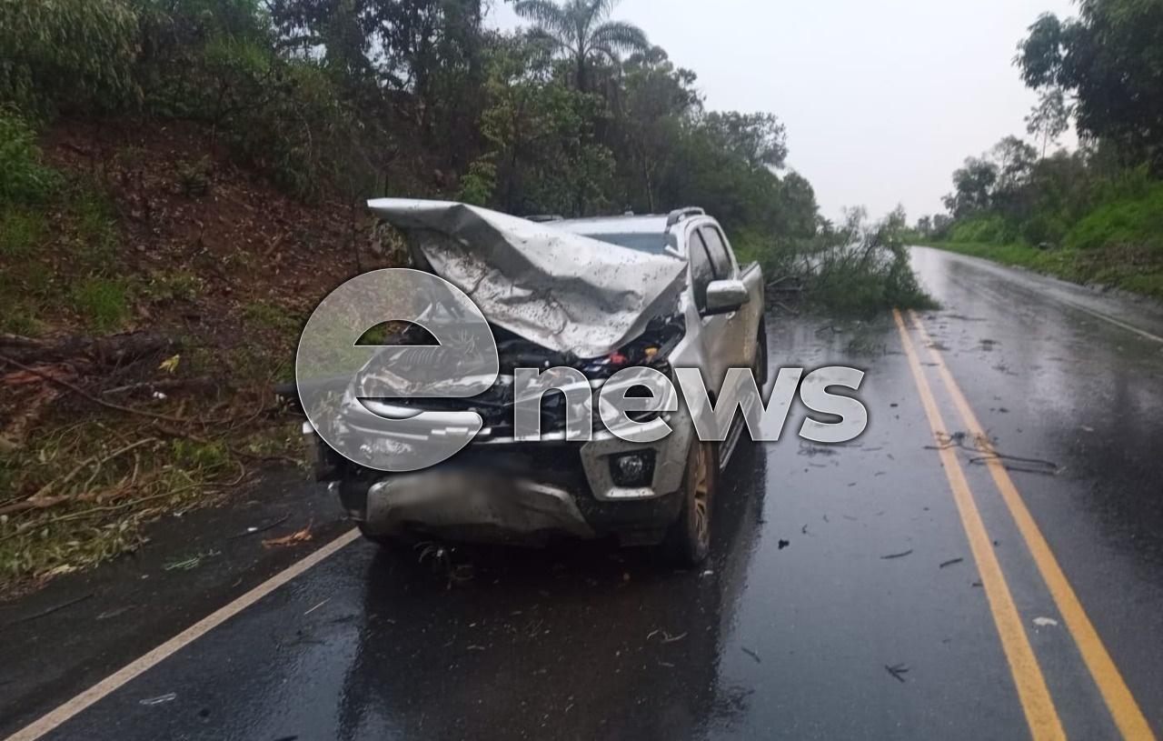 Queda de árvore provoca acidente na BR-354