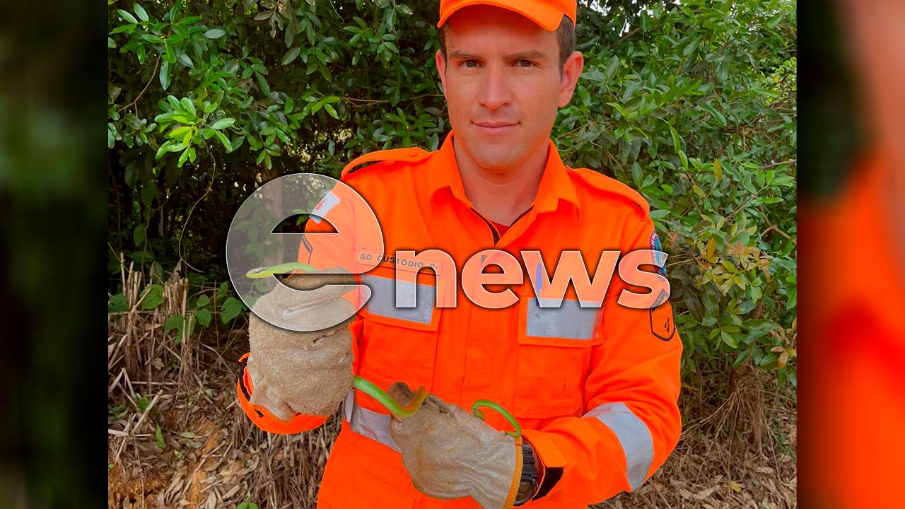 Bombeiros capturam cobra dentro de residência em Campos Altos