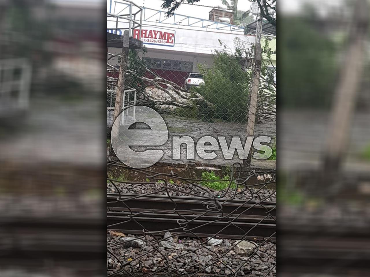 Chuva provoca estragos no Centro de Campos Altos; duas árvores caíram