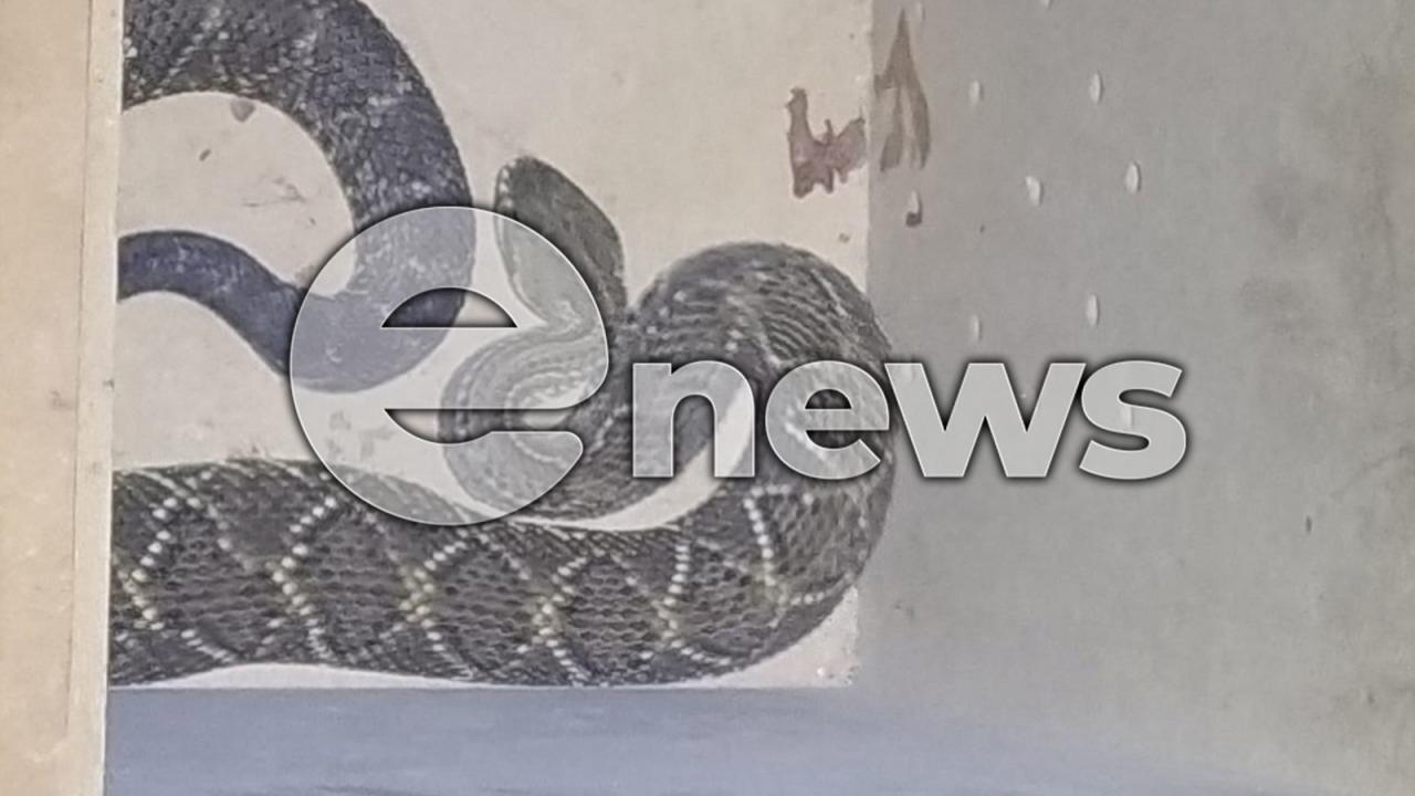 Bombeiros capturam cobra no quintal de residência em Campos Altos