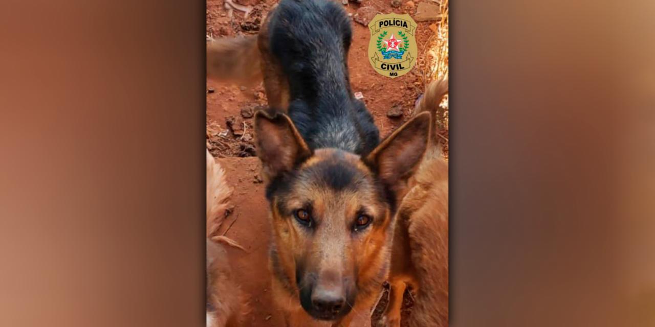 Cachorro com indícios de maus-tratos é resgatado pela Polícia Civil, em Campos Altos