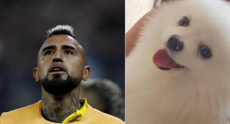 Vidal, do Flamengo, oferece recompensa milionária por cão desaparecido da filha