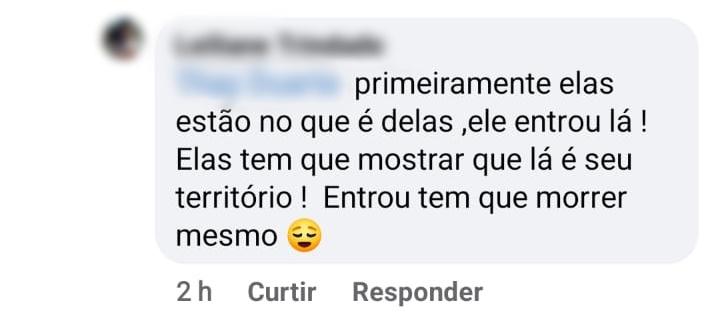 Em Campos Altos, mulher é presa após filmar cães comendo gato, e defender atitude