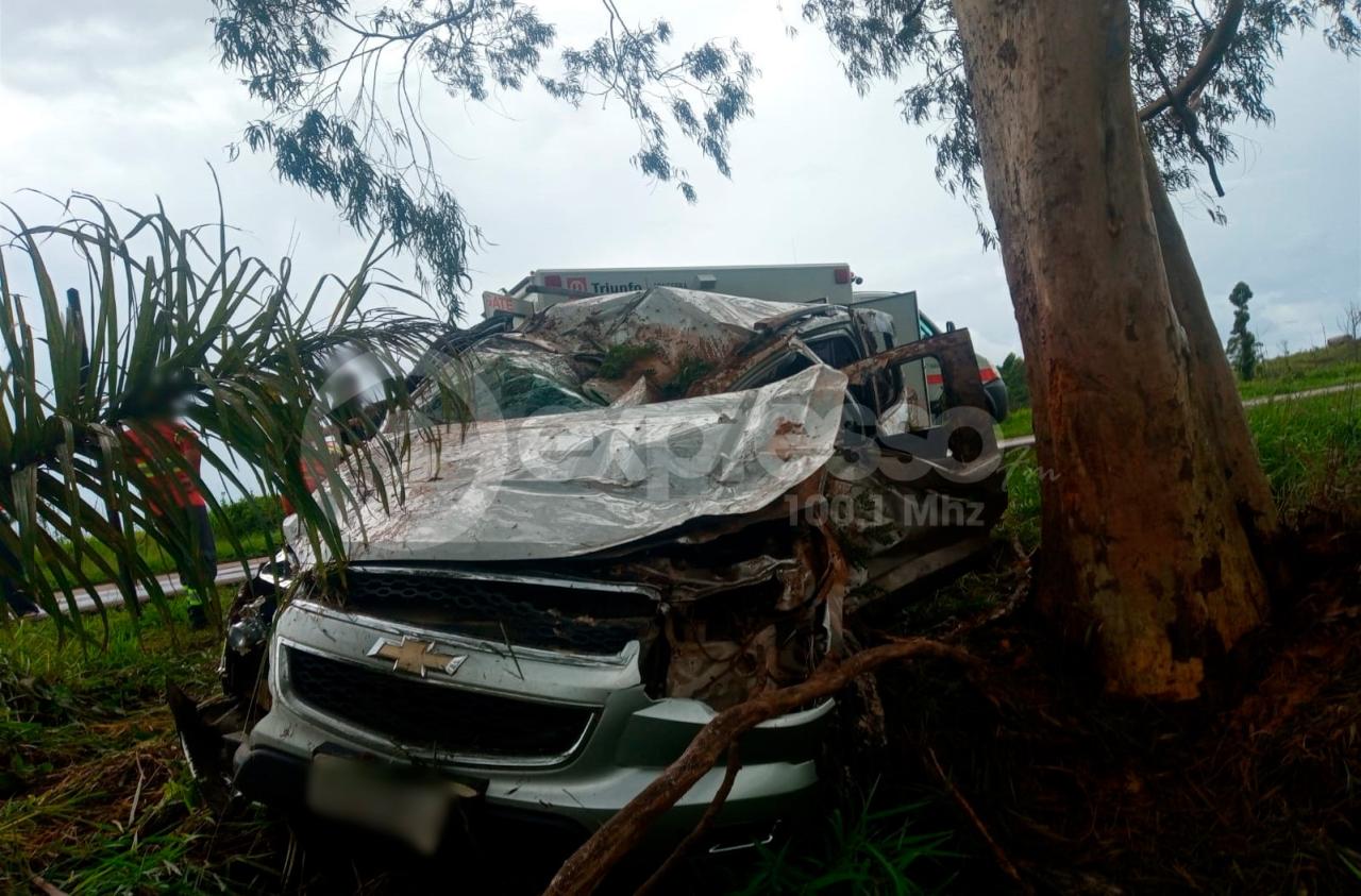 Família fica ferida após carro rodar na pista e bater em árvore na BR-262, em Campos Altos