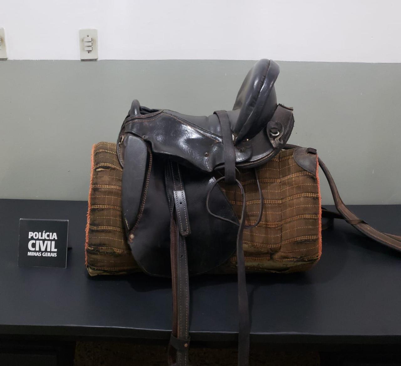 Operação da Polícia Civil de Campos Altos recupera cavalos e selas que foram adquiridos por meio de ação de estelionato