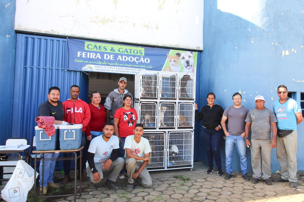 Feira de adoção de cães acontece nesta sexta (4/8) em Campos Altos; saiba detalhes