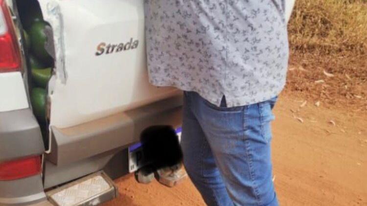 Suspeito de furtar abacates em Campos Altos e causar prejuízo estimado em R$60 mil é preso pela PC