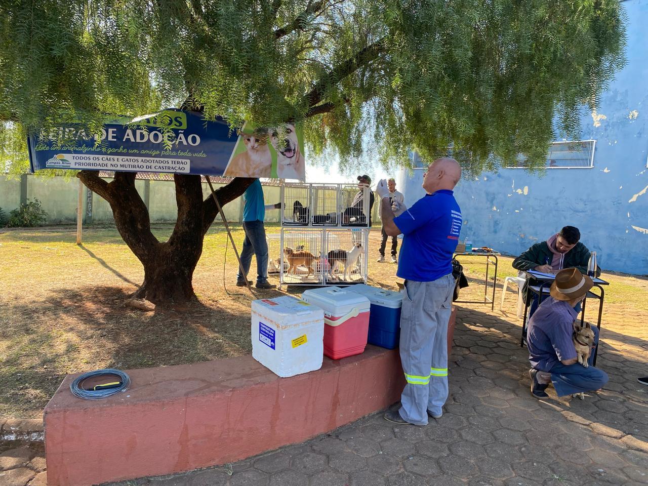 Canil Municipal realiza 2ª Feira de Adoção de Cães e Gatos