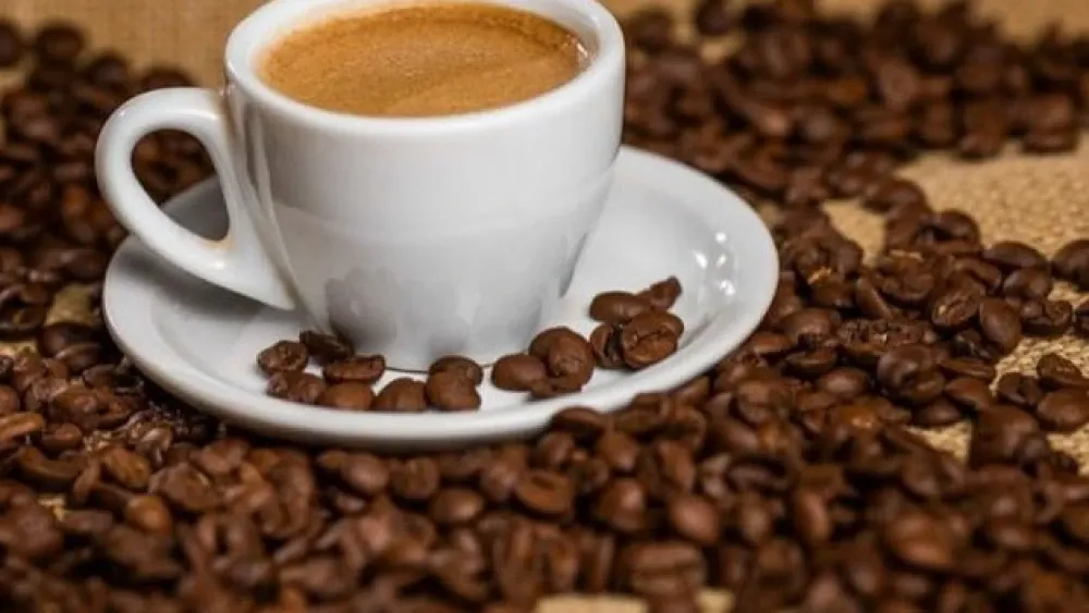 Marcas de café recolhidas: veja impurezas não toleráveis no produto