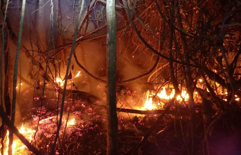 Incêndio de grandes proporções é combatido pelos Bombeiros entre Campos Altos e Pratinha
