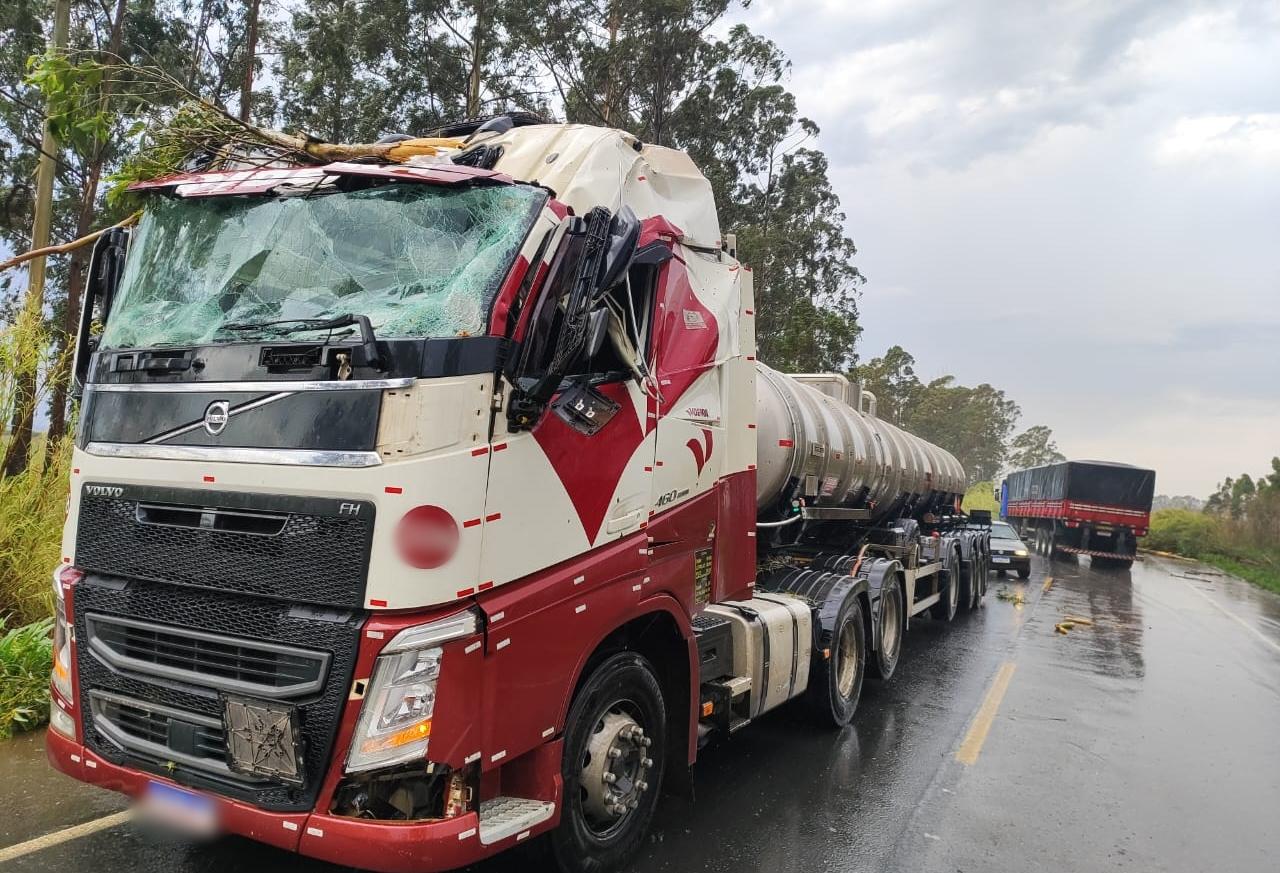 Motorista fica ferido após eucalipto cair sobre carreta, na BR-262 em Campos Altos