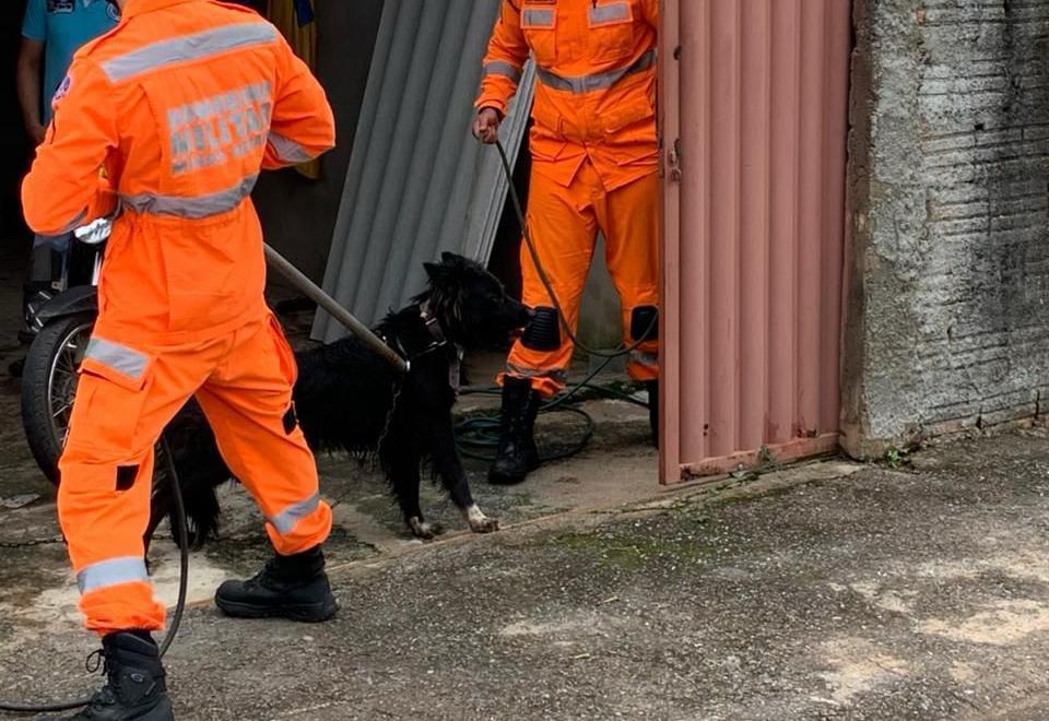 Criança fica ferida após ser atacada pelo cachorro da família, em Campos Altos MG