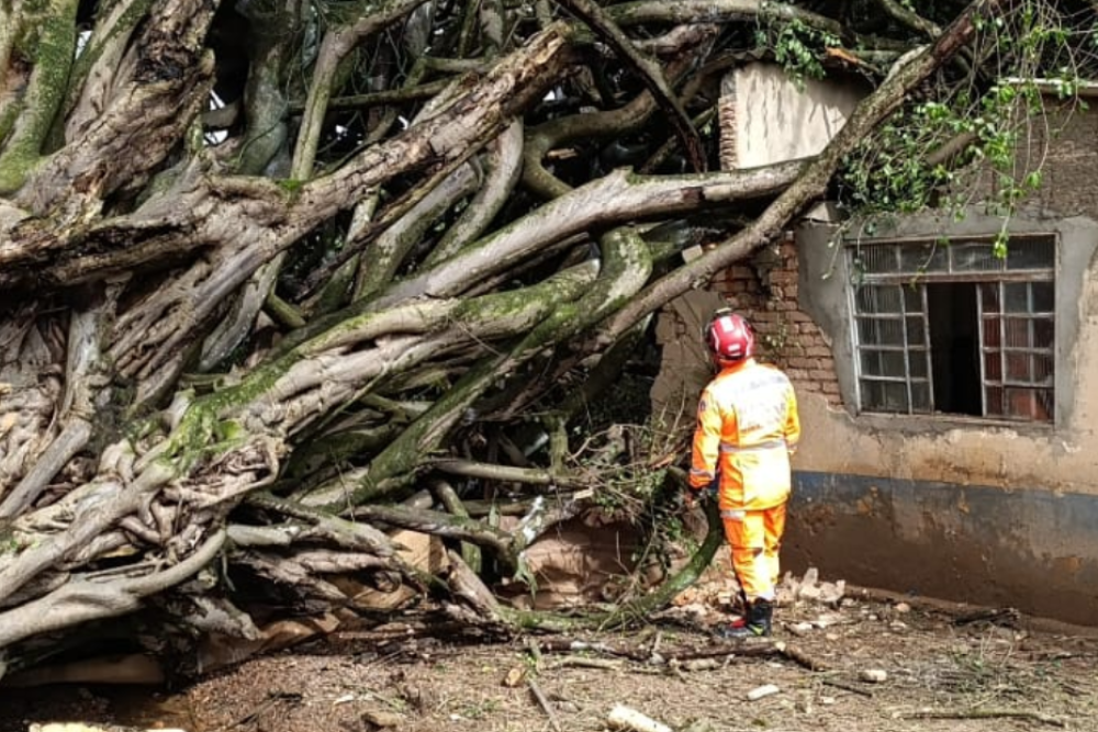 Queda de árvore em residência na zona rural de Araxá deixa vítima fatal
