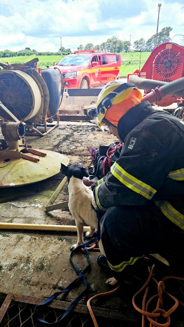 Bombeiros resgatam cachorro que caiu em fosso de secador de  café, em Campos Altos MG