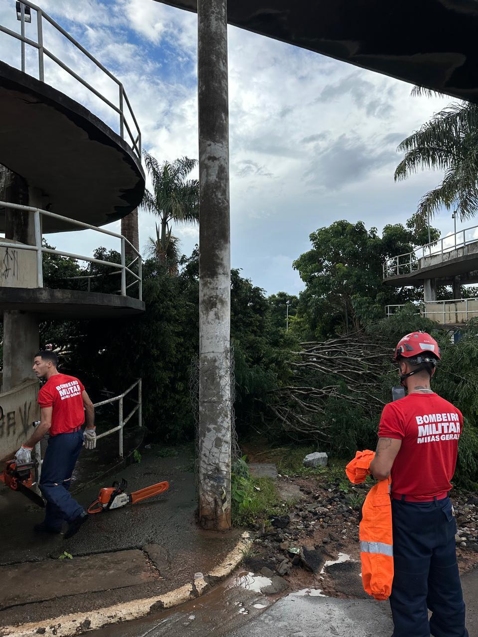 Chuva provoca queda de árvores na Praça Benedito Valadares