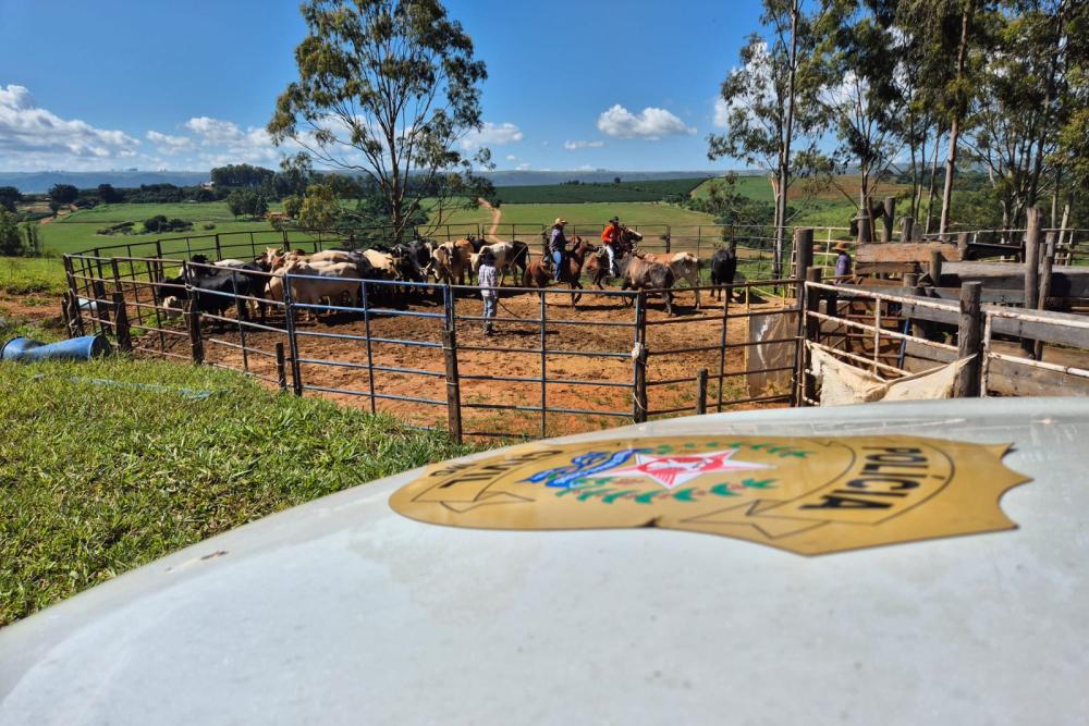 Polícia Civil realiza operação 
