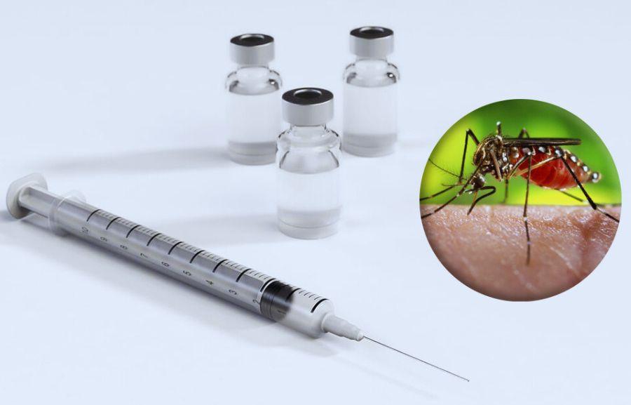 Vacina contra a dengue só está disponível no SUS para quem tem entre 10 e 14 anos