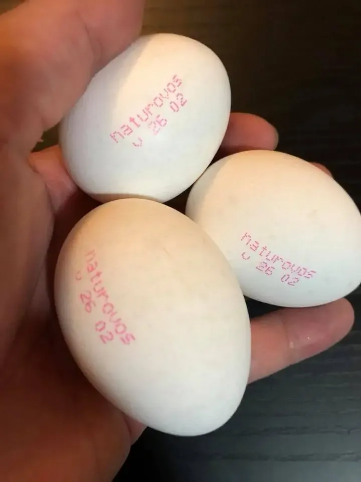 Ovos deverão ter validade carimbada a partir de março